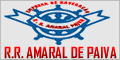 NM OBIDENSE